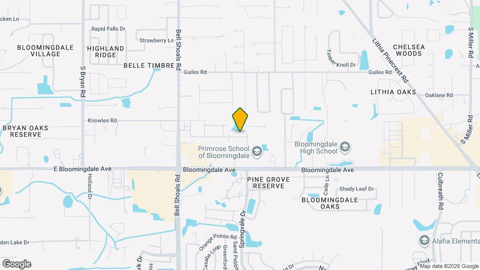 3141 Pleasant Willow Ct Mapa y Detalles de la Ubicación