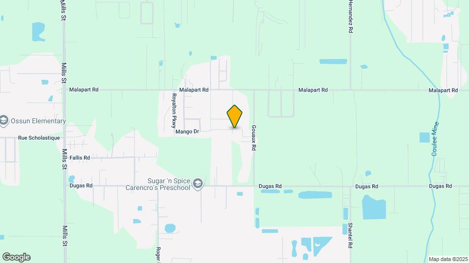 203 SANTIAGO COURT Mapa y Detalles de la Ubicación