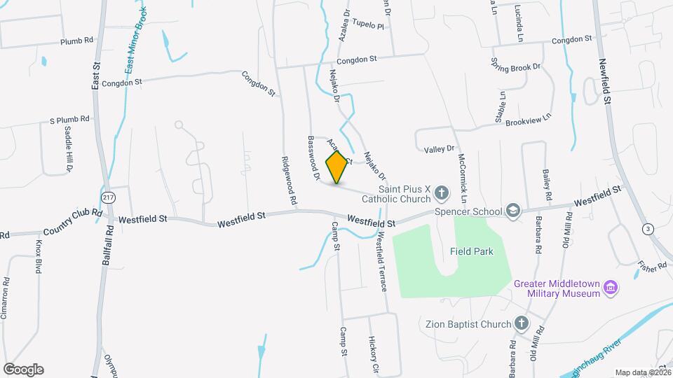 77 Basswood Dr Map and Location Details