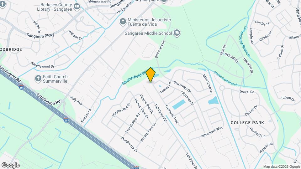 1009 Friartuck Trl Mapa y Detalles de la Ubicación