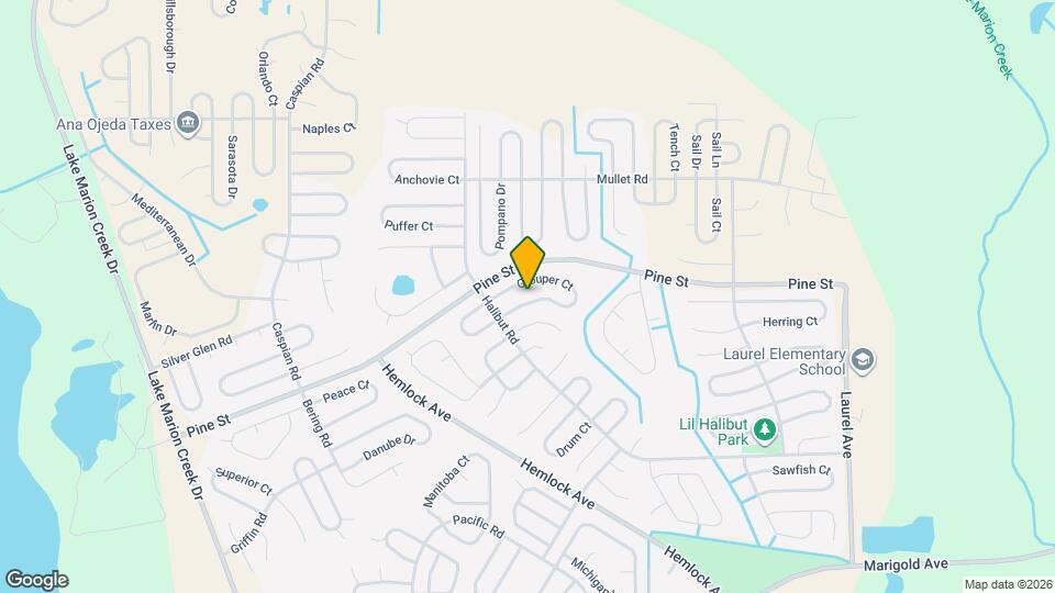 260 Grouper Ct Map and Location Details