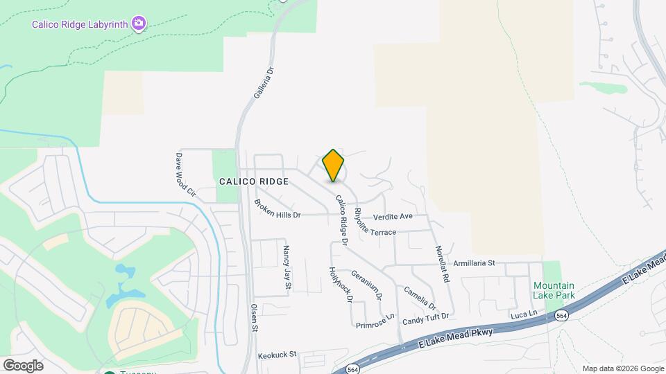 1135 Calico Ridge Dr Mapa y Detalles de la Ubicación