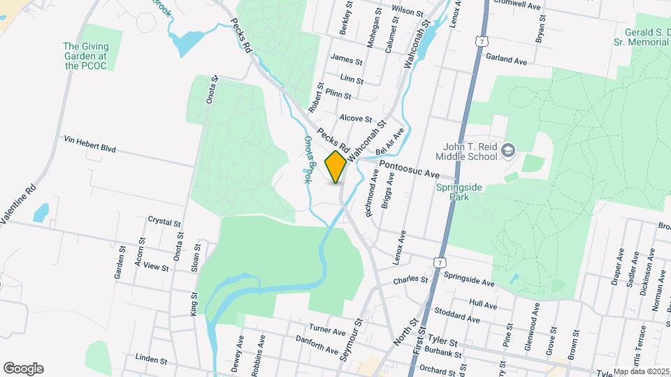 217-225 Wahconah St Map and Location Details