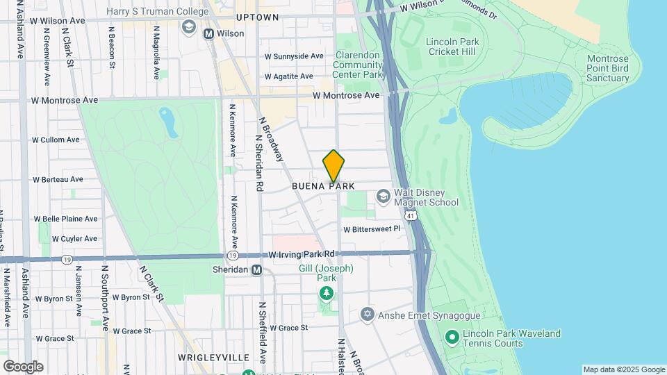 808 W Belle Plaine Ave, Unit 808 W Belle Plaine Ave Mapa y Detalles de la Ubicación