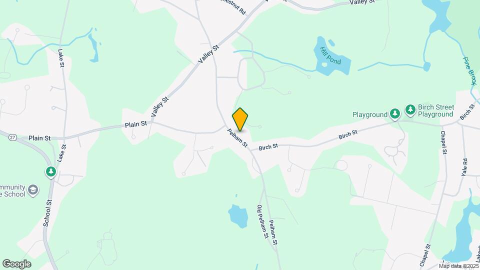 16 Pelham St Map and Location Details