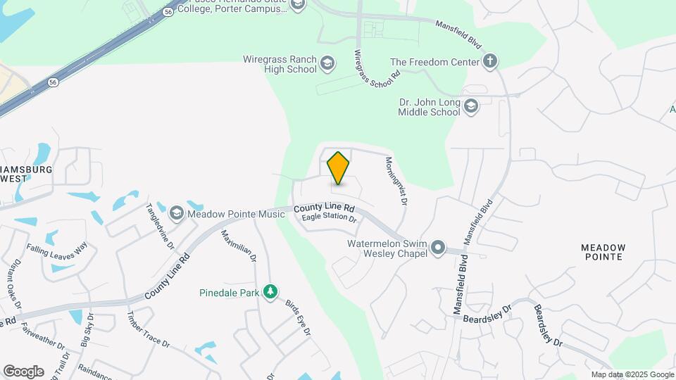 29637 Morwen Pl Mapa y Detalles de la Ubicación