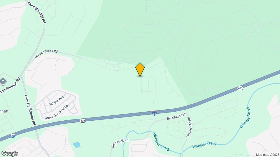 2304 Grape Vine Wy Mapa y Detalles de la Ubicación