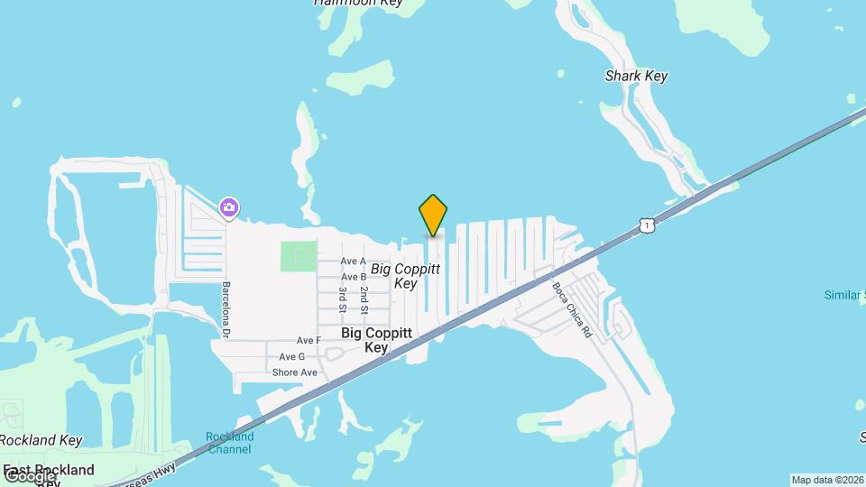 3 Palmetto Dr Map and Location Details