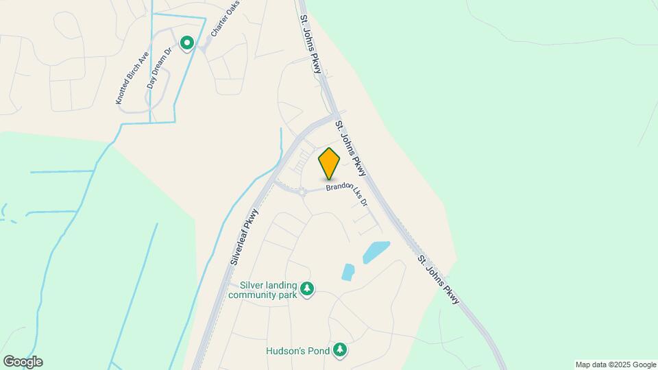 259 Brandon Lks Dr Map and Location Details