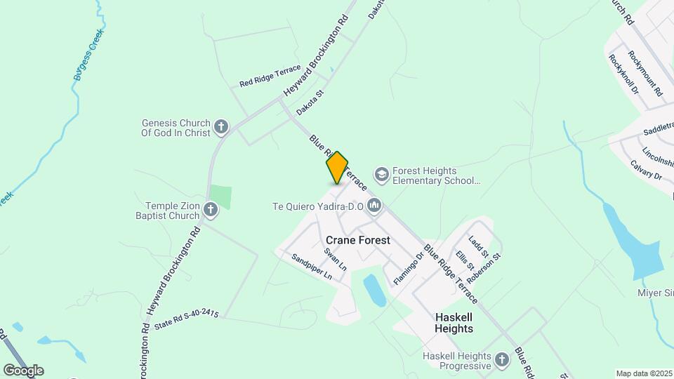 1205 Widgean Dr Mapa y Detalles de la Ubicación