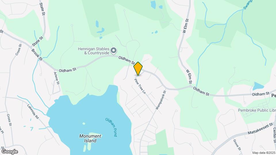 55 Pine Tree Ln Map and Location Details