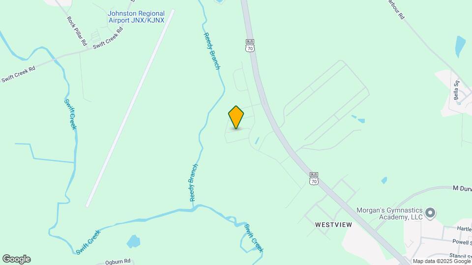 229 Lily Patch Ln Mapa y Detalles de la Ubicación