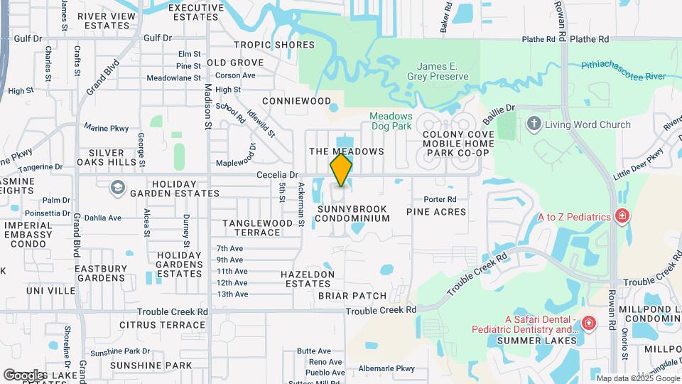 4911 Sunnybrook Dr Map and Location Details