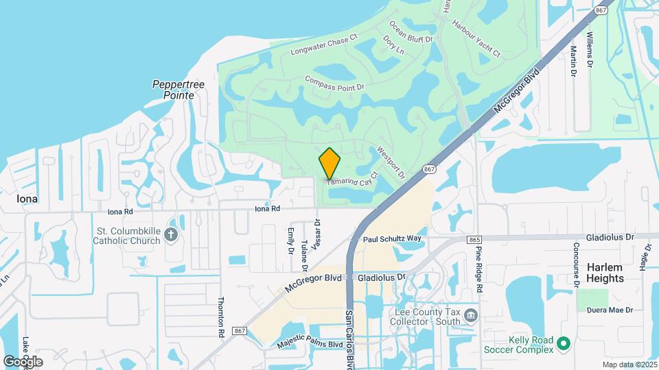 15055 Tamarind Cay Ct Map and Location Details