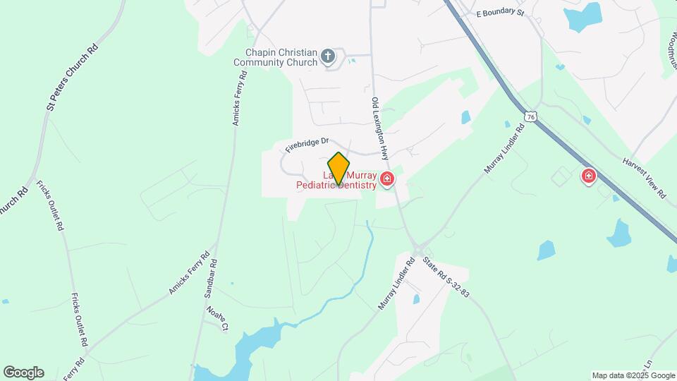 345 Firebridge Dr Mapa y Detalles de la Ubicación