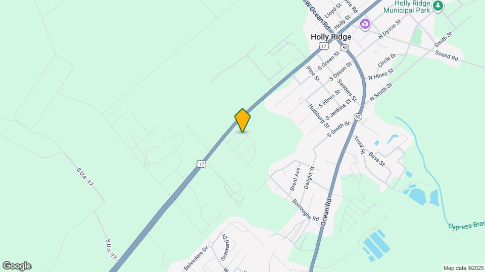 300 Pine Ridge Ln Map and Location Details