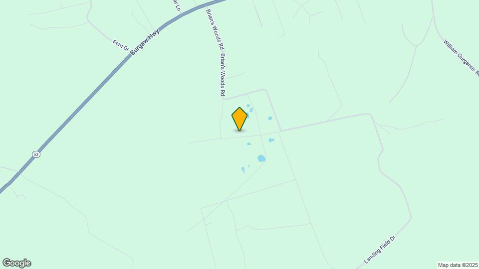 106 Blueberry Fields Rd Map and Location Details