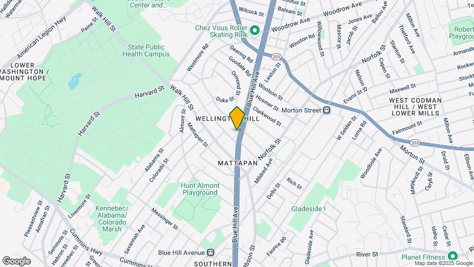 1317-1325 Blue Hill Ave Mapa y Detalles de la Ubicación