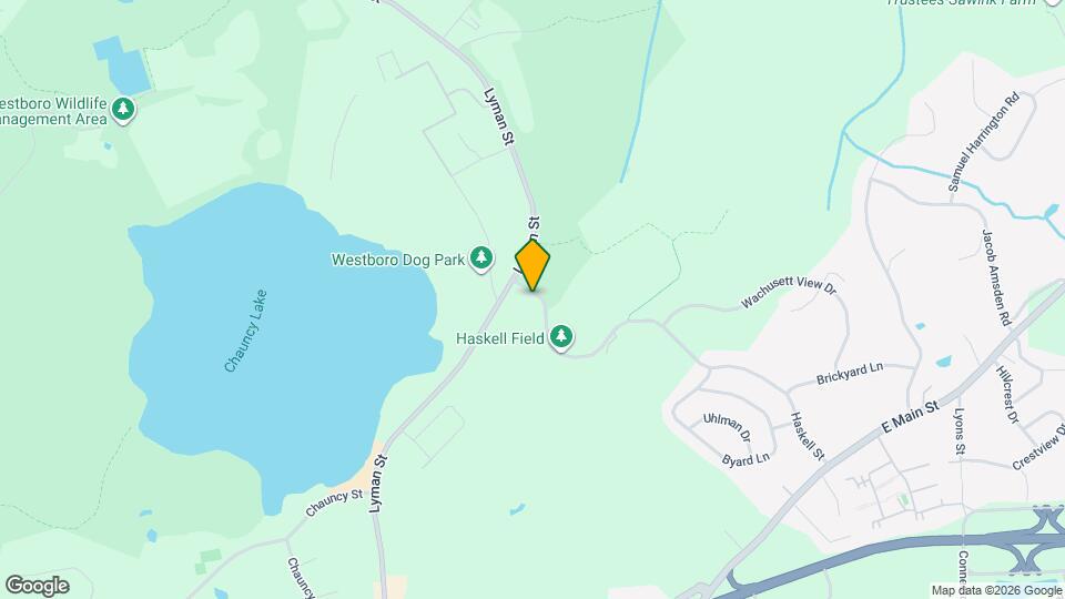 66 Haskell St Apartments and Nearby Westborough Apartments For Rent