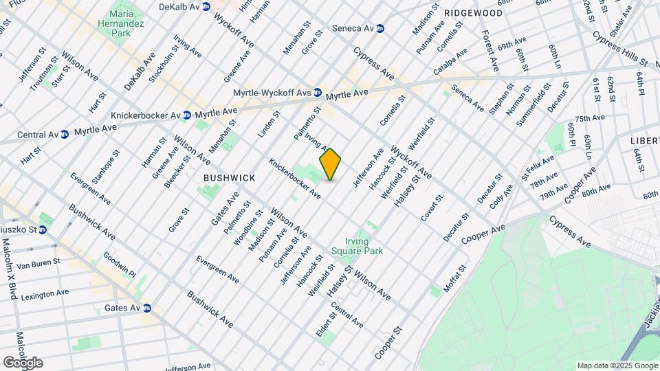 317 Cornelia St Mapa y Detalles de la Ubicación