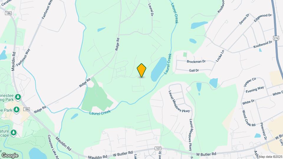 105 Paddock Glen Dr Map and Location Details
