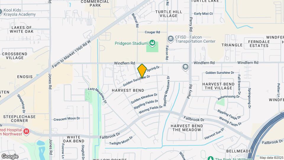 10019 Golden Sunshine Dr Mapa y Detalles de la Ubicación