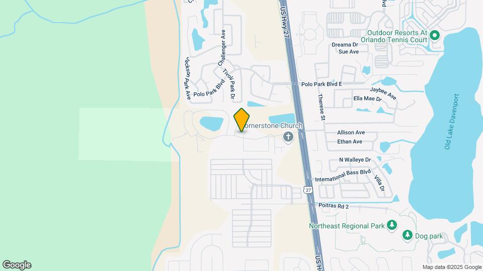 113 Coconut Palm Way Map and Location Details