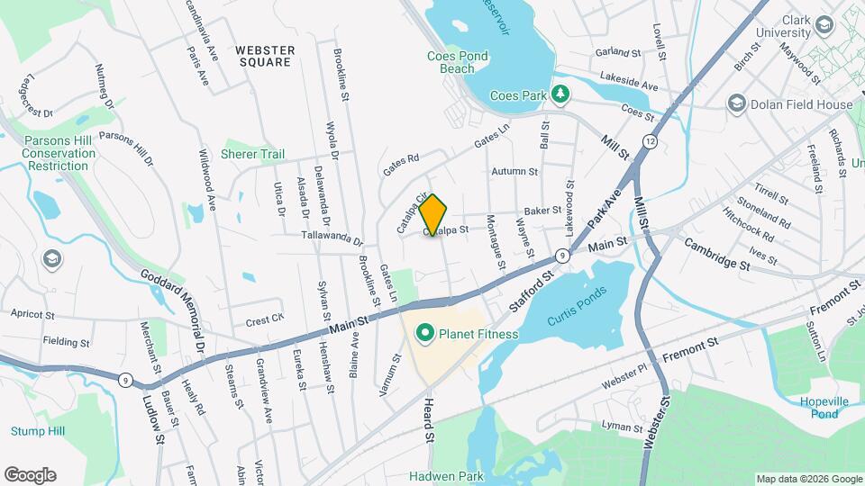 41 Holland Rd Map and Location Details