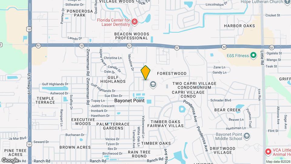 11630 Paige Dr Mapa y Detalles de la Ubicación