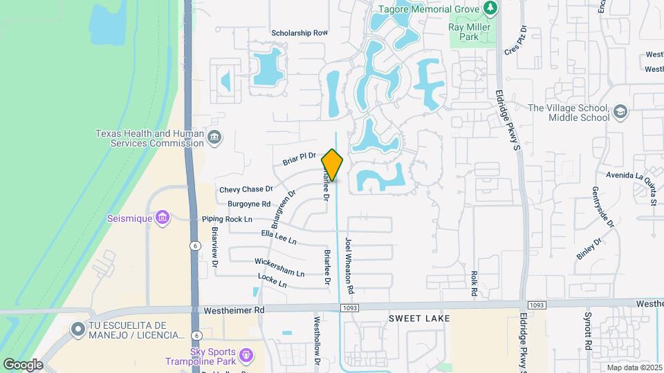 2019 Briarlee Dr Mapa y Detalles de la Ubicación