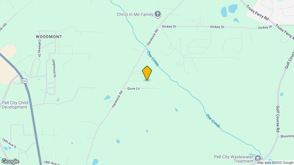 140 Camellia Ln Mapa y Detalles de la Ubicación