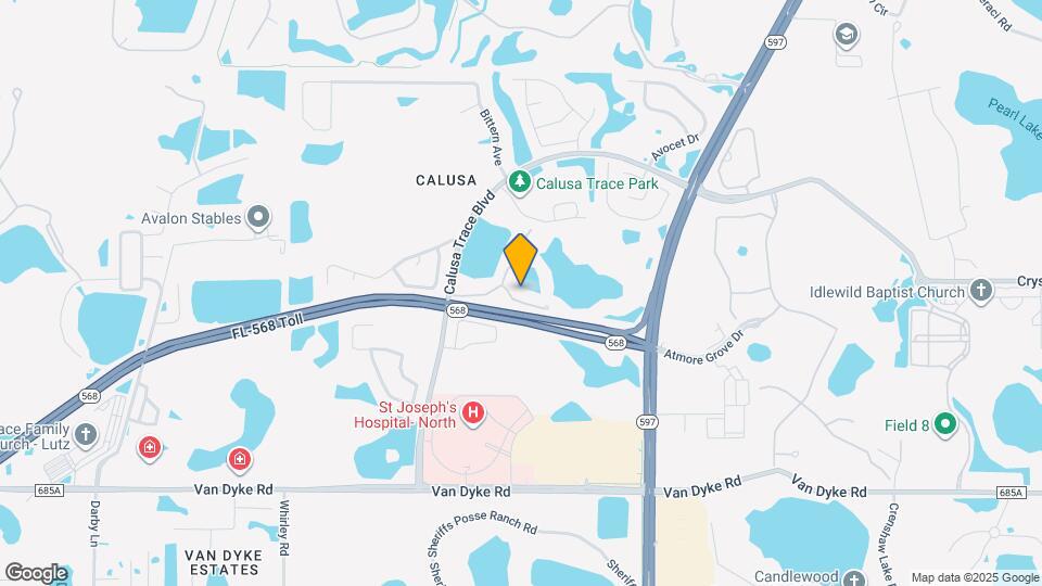 18107 Peregrines Perch Pl Apartments and Nearby Lutz Apartments For