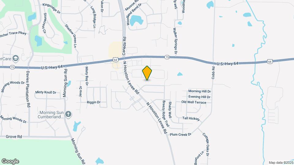 9998 Cameron Ridge TR Map and Location Details