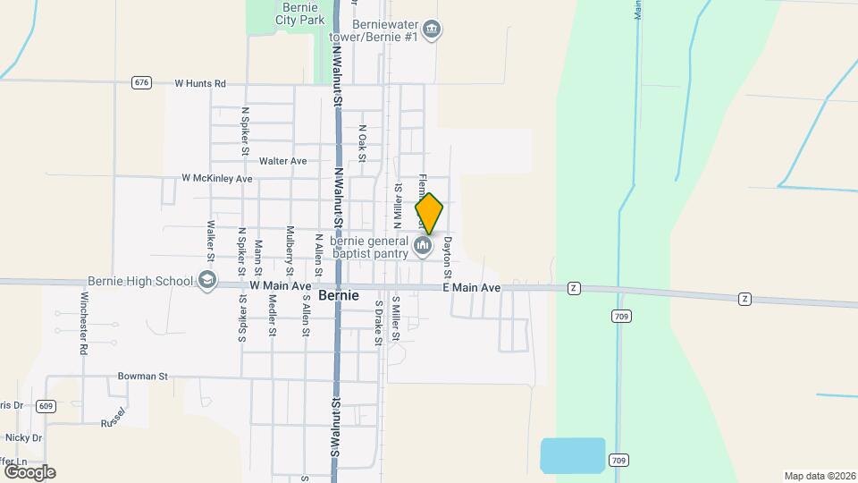 209 Fleming St Mapa y Detalles de la Ubicación