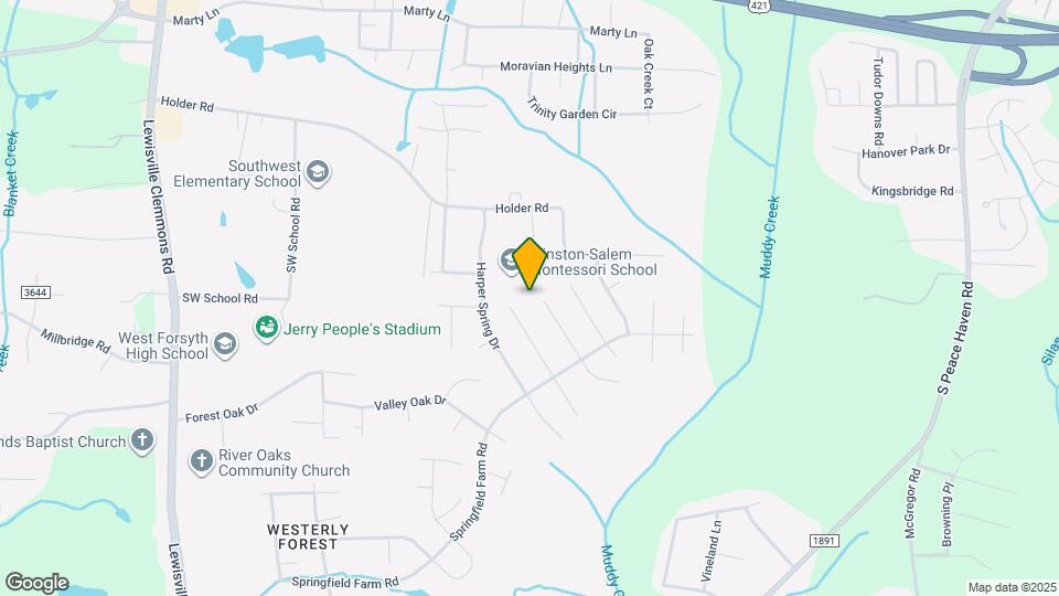 1732 Ammons Dr Mapa y Detalles de la Ubicación