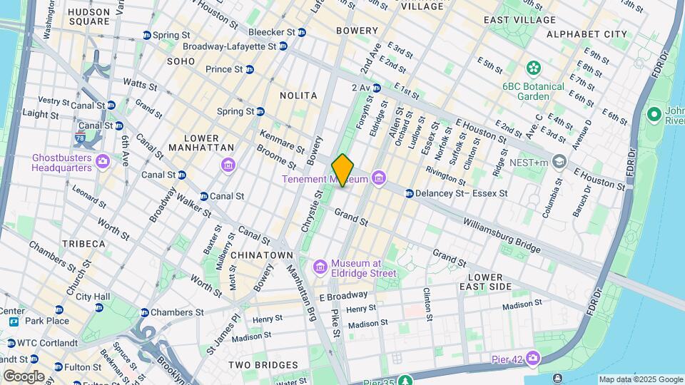 299 Broome St Mapa y Detalles de la Ubicación