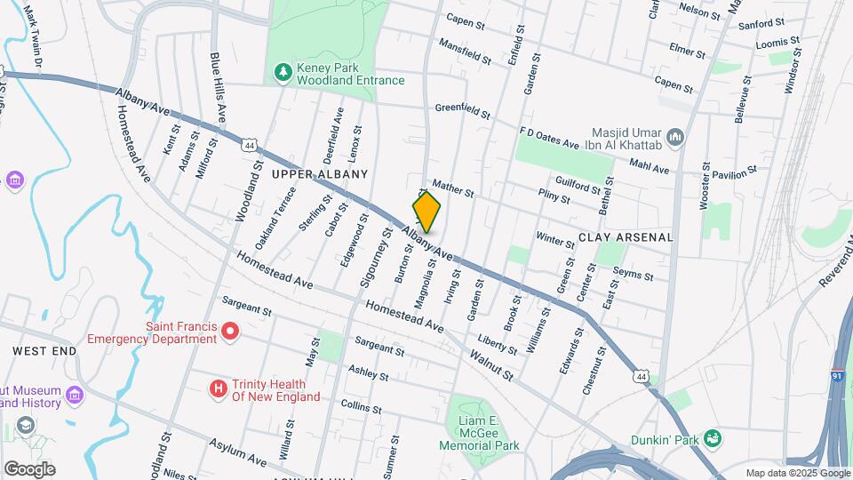 696-714-714 Albany Ave Mapa y Detalles de la Ubicación