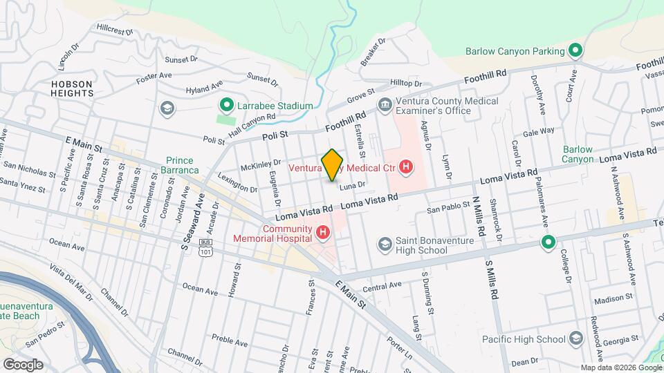 251 Homer Ave Map and Location Details