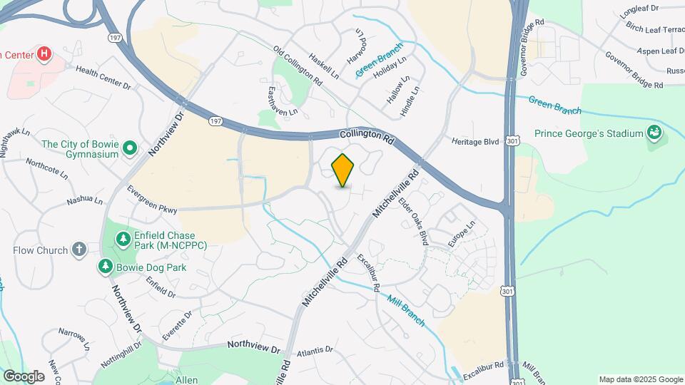 15919 Elf Stone Ct Mapa y Detalles de la Ubicación