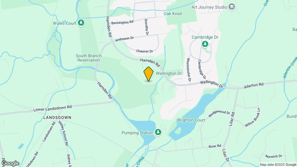 37 Meadowview Dr Map and Location Details