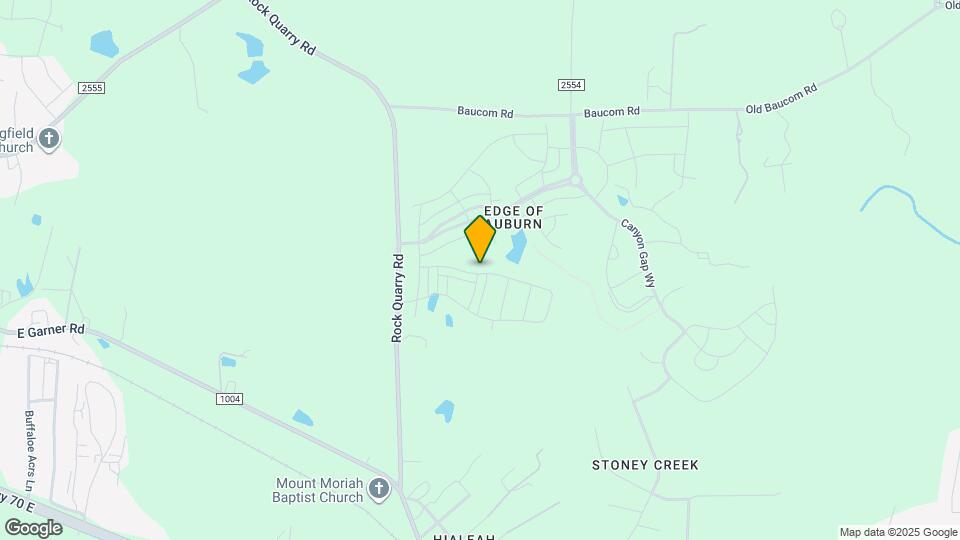 223 Aster Bloom Ln Map and Location Details