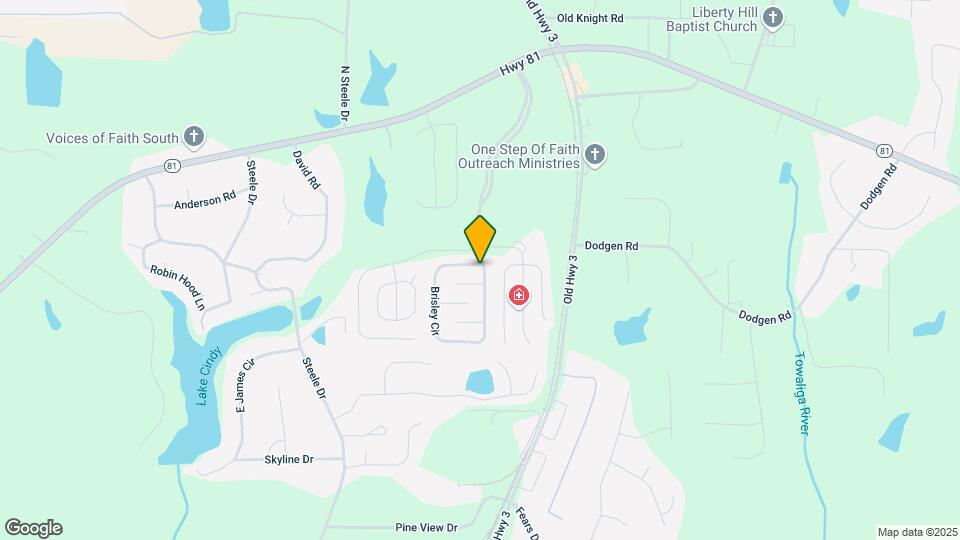 987 Brisley Cir Map and Location Details