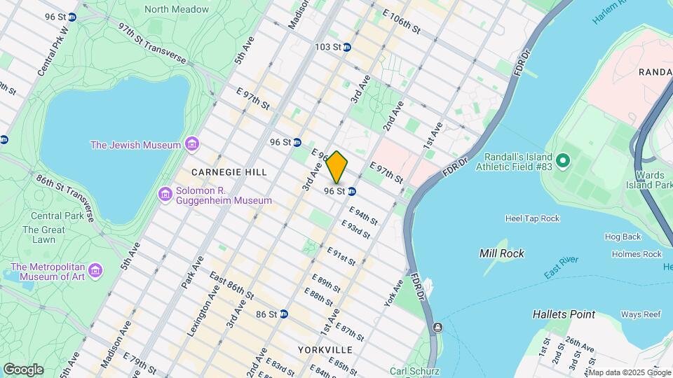 226 E 95th St Map and Location Details
