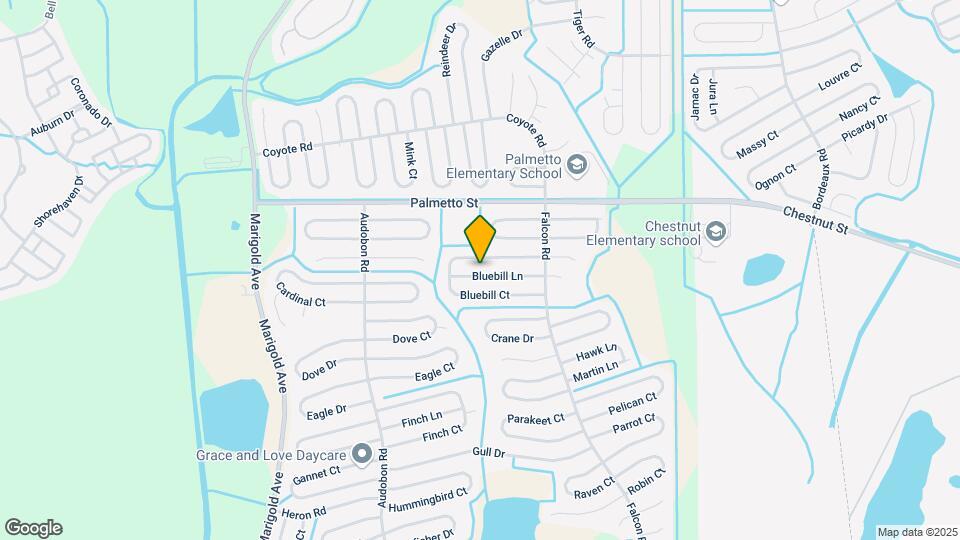 621 Bluebill Ln Mapa y Detalles de la Ubicación