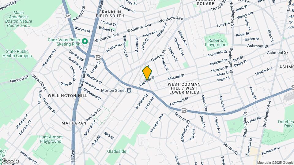 116 Evans St, Unit 3 Map and Location Details