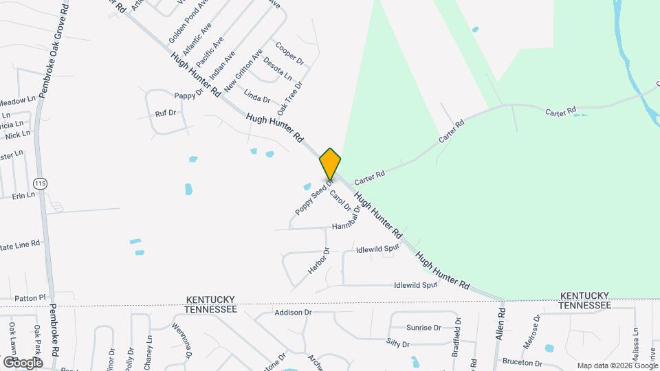 1105 Poppy Seed Dr Mapa y Detalles de la Ubicación