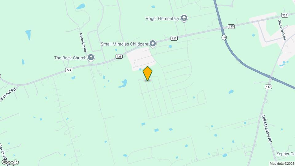 321 Cottonmouth Ln Map and Location Details