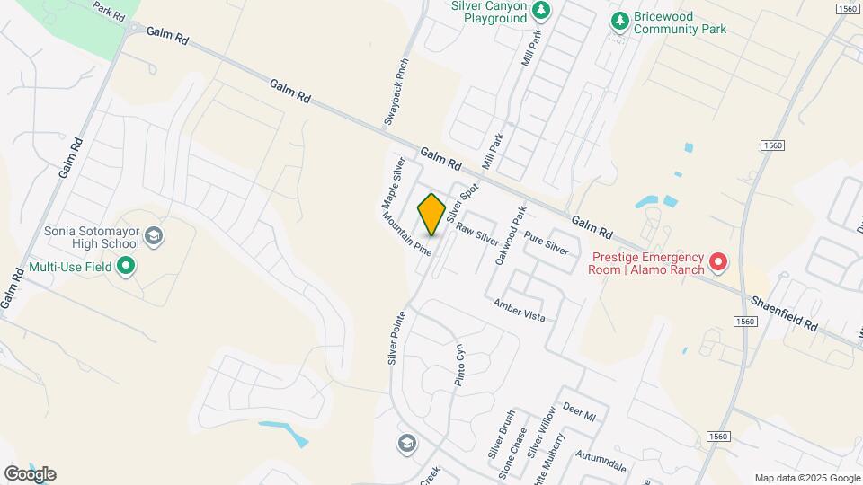 9210 Silver Vista Map and Location Details