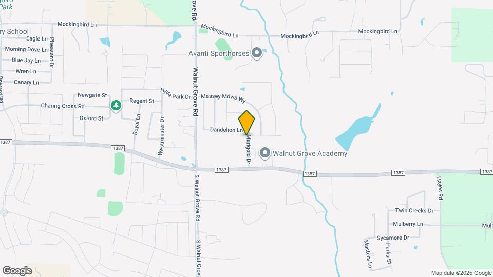 541 Marigold Dr Map and Location Details