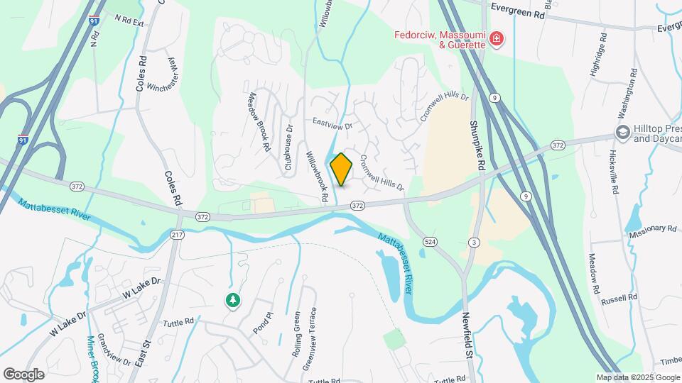 41 Mountain Laurel Ct Map and Location Details